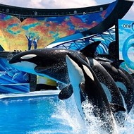 Out of all the Orlando theme parks, SeaWorld had a pretty crappy year