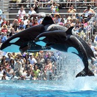 SeaWorld San Diego plans to end controversial killer whale show