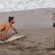 Watch this Florida manbun use a shark as a selfie prop