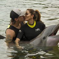With arms wide open, Scott Stapp met this dolphin at SeaWorld today