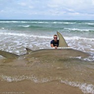 Man catches staggeringly big 13-foot-long hammerhead shark