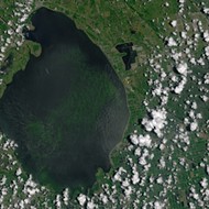 You can now see Florida's gross algae problem from space