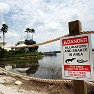 Firefighters at Walt Disney World resort warned to stop feeding alligators
