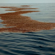 New report highlights 'dirty and dangerous risks' of offshore drilling in Florida