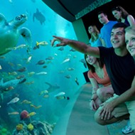 SeaWorld Orlando offers free admission to military veterans and their families