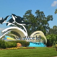 SeaWorld gets new board chairman Scott Ross, former director of Chuck E. Cheese's parent company