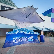 Tampa's Florida Aquarium announces multimillion dollar updates, 25th anniversary adult slumber party