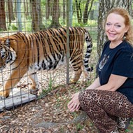 Florida's Big Cat CEO Carole Baskin will take over Joe Exotic's tiger zoo