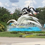 SeaWorld's largest shareholder may be pushing the company into bankruptcy