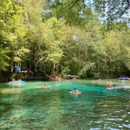 Florida judge rules that, yes, the Nestle corporation can continue to draw water for bottling from Ginnie Springs