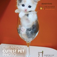 Pet Alliance of Greater Orlando wants to know if your pet is the cutest in the city