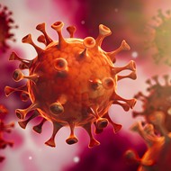 Florida reported over 21,000 new cases of coronavirus on Monday