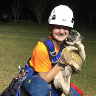 Rescuers save Florida pug from 30-foot sinkhole
