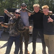Here's a photo of Gordon Ramsay posing with Florida pythons, which he then cooked and ate