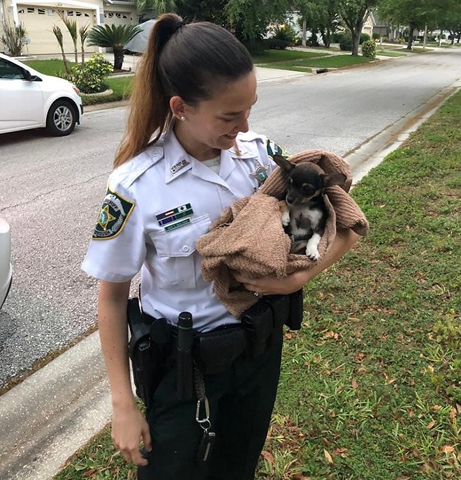 Florida sheriff deputies rescued a puppy stuck in a storm drain and named it 'Poncho'