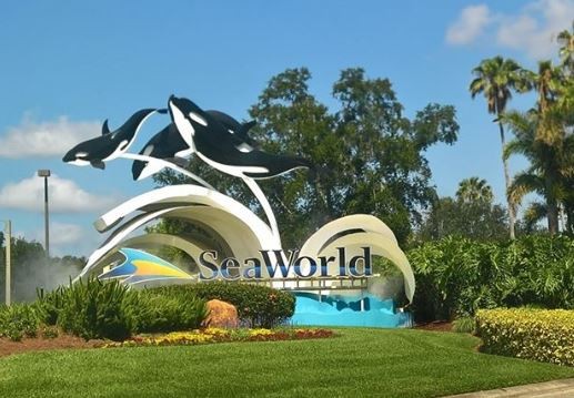 SeaWorld's plans through 2020 just got leaked and there's a ton of new coasters in the works