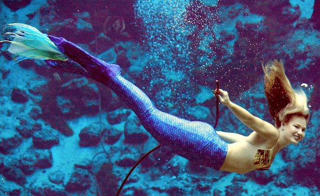 Weeki Wachee Mermaids visiting Sea Life Aquarium this week