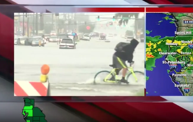 Tampa bicyclist braves flood and 'takes a header' on live TV