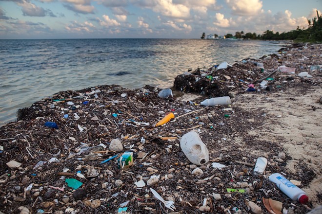 Florida Senate panel pushes 5-year moratorium on local plastic straw bans