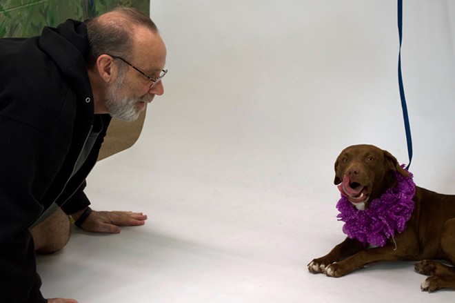 Pawsitive Shelter Photography’s Paul Wean tries to get a shelter dog to smile for the camera. - Photo by Monivette Cordeiro