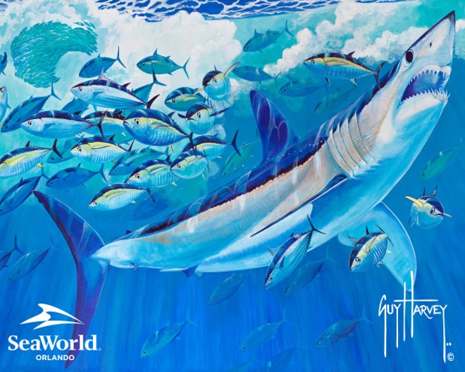 Watch marine artist Guy Harvey paint a new shark mural at SeaWorld