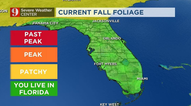 Weatherman JokeTracker: WFTV's Brian Shields made a meme