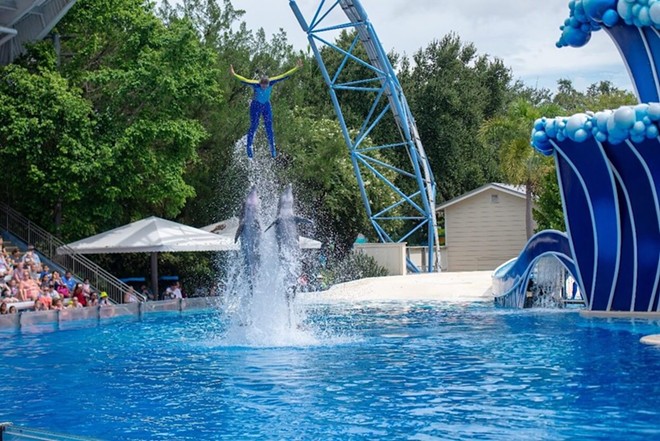 PETA releases SeaWorld Orlando photos, alleges dolphin abuse: 'imagine if someone stood on your mouth'