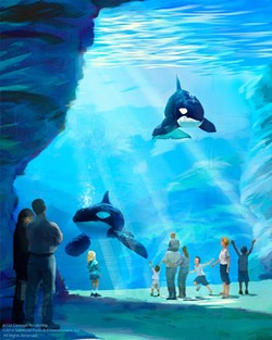 An artist's rendering of the proposed Blue World orca habitat - IMAGE VIA SEAWORLD