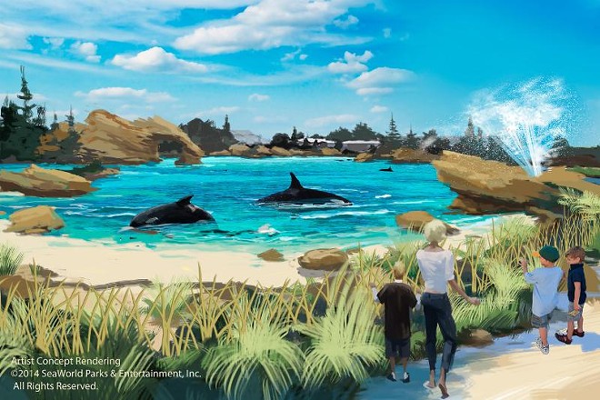 An artist's rendering of the canceled Blue World orca habitat at SeaWorld - Image via SeaWorld