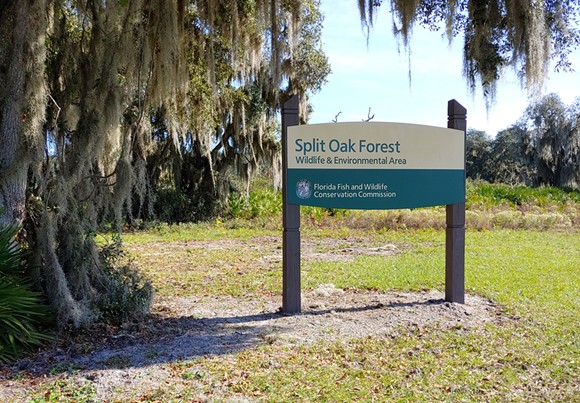 Orange County Commissioner says Split Oak Forest toll road approval was filed under the wrong code