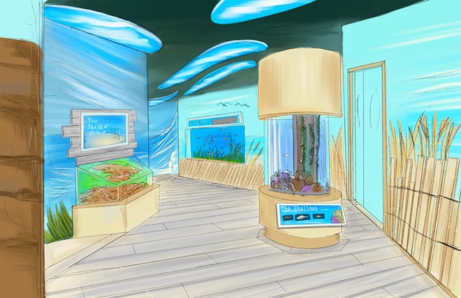 Renderings of the updated Shorelines exhibit - Image via Florida Aquarium