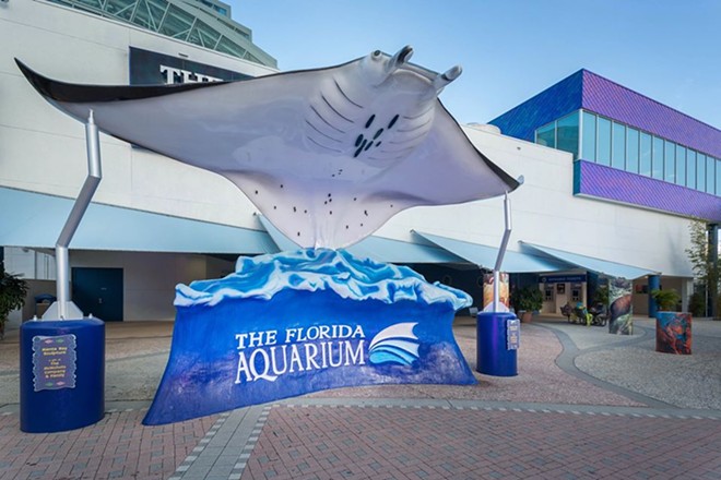 Tampa's Florida Aquarium announces multimillion dollar updates, 25th anniversary adult slumber party (6)