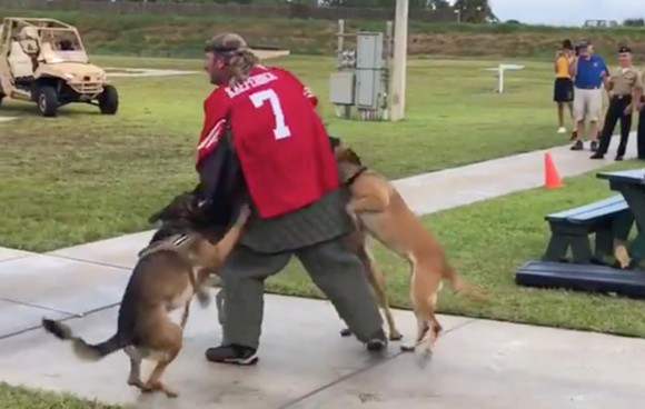 Navy SEALs launch investigation after Florida video shows a dog attacking a man in a Kaepernick jersey