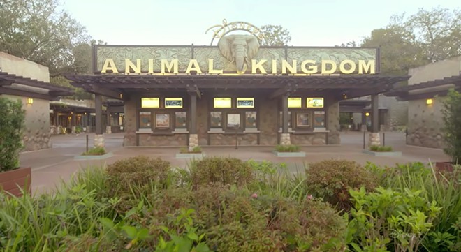 Animal Kingdom's Disney+ debut might be a sign of more streaming content ahead from Orlando parks