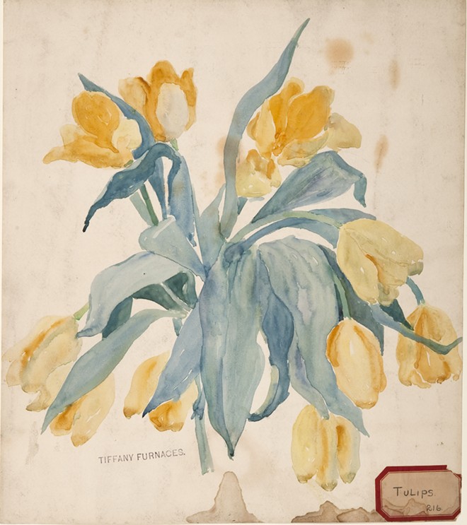 Tulips, c. 1901. Watercolor, graphite on paper; Lillian A. Palmié, American, 1873–1944; 15 x 13 in. (80-008). - Courtesy of The Charles Hosmer Morse Museum of American Art, Winter Park, FL.