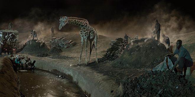 'Charcoal Burning with Giraffe' by Nick Brandt - Photo courtesy Snap! Orlando