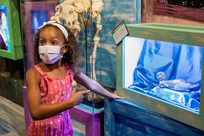Ripley's Orlando used coronavirus closure to update exhibits, bring in new technology