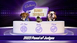 The annual Cadbury Bunny tryouts start on Monday to find this Easter's bunny. Betty the tree frog, last year's winner, is from the Orlando area. - Courtesy of Cadbury