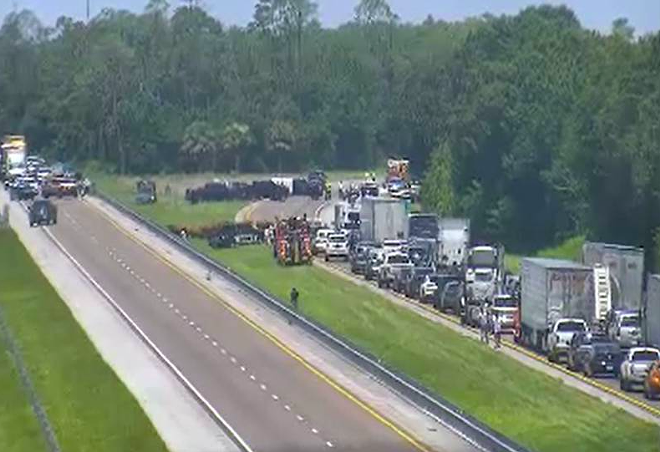 Loose cattle close Florida Turnpike for hours on Monday | Orlando Area News | Orlando