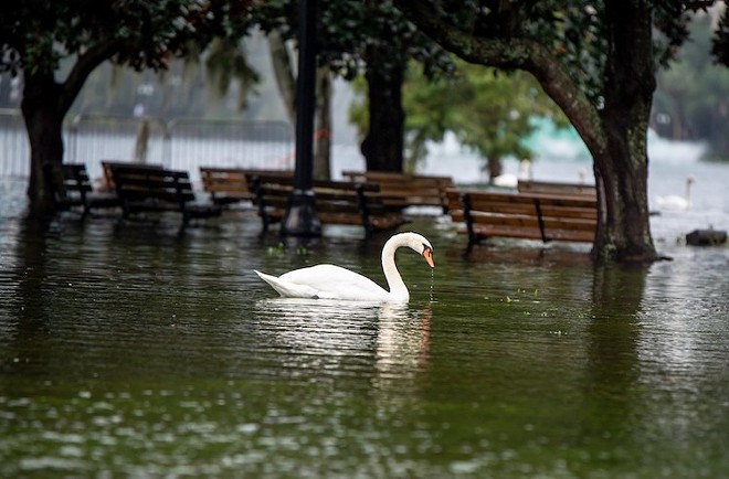 Orlando is still feeling the impacts of the flooding wrought by Hurricane Ian - Photo by Matt Keller Lehman