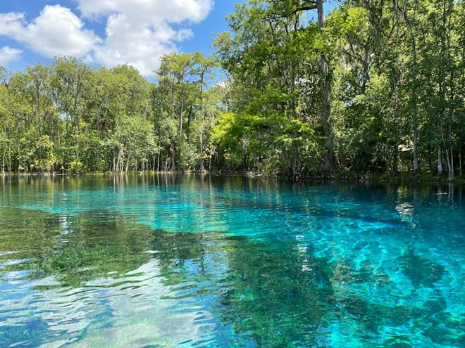 Group seeking to make clean water a constitutional right in Florida restarts ballot measure efforts