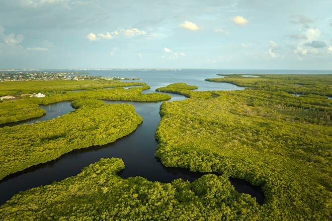 DeSantis approves $1.5 billion from Florida budget for Everglades restoration