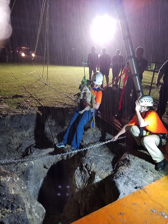Rescuers save Florida pug from 30-foot sinkhole (3)