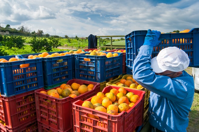 Florida citrus growers say they're optimistic about the future, after lowest production in nearly 100 years