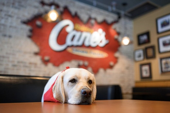 Pet Alliance of Orlando teams up with Raising Canes for adoption fundraiser