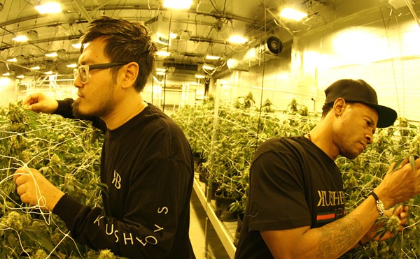 Florida legislation would admit more Black farmers into medical cannabis industry