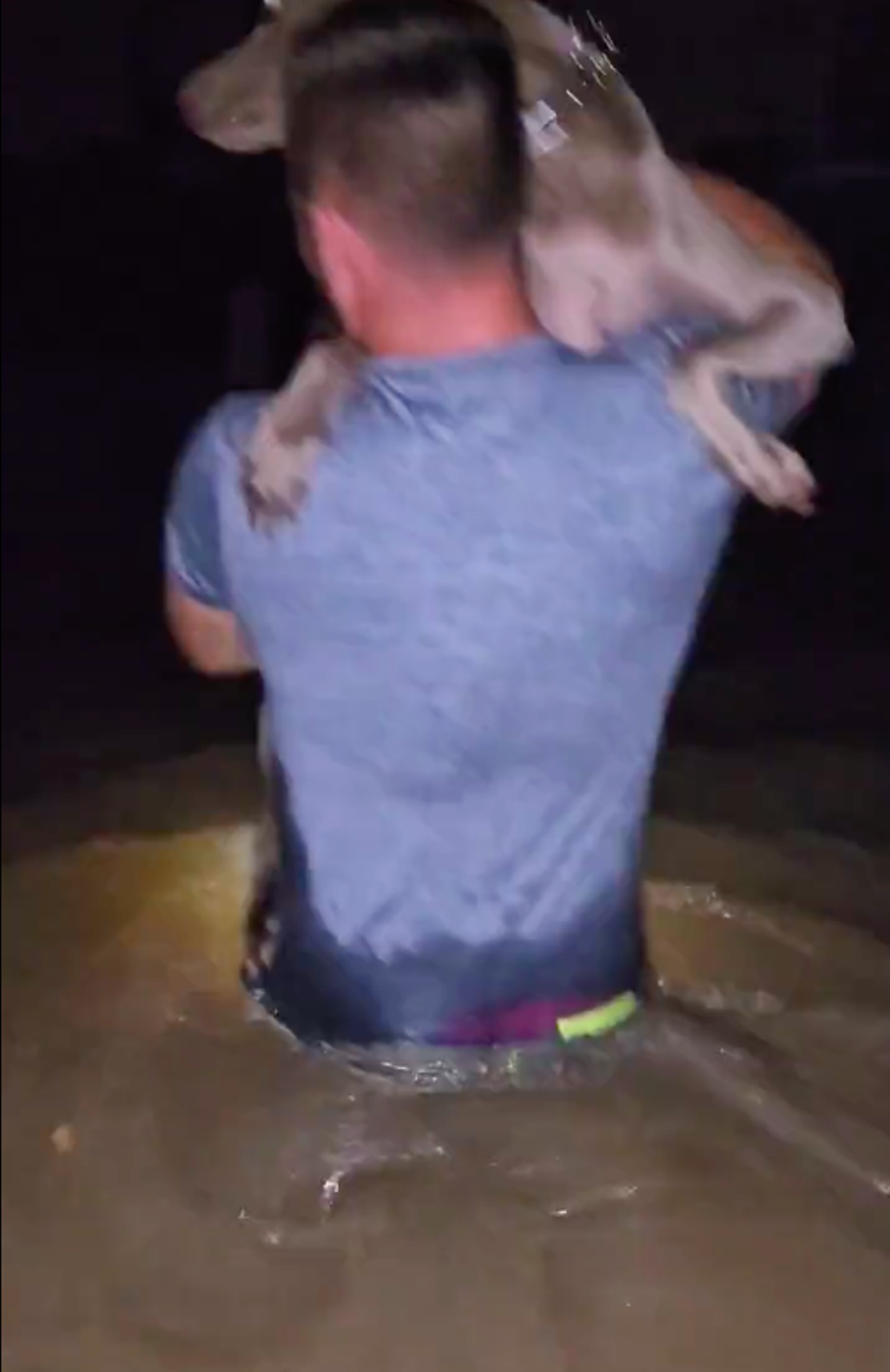 Key West resident carries dog through floodwaters in harrowing evacuation video | Florida News | Orlando