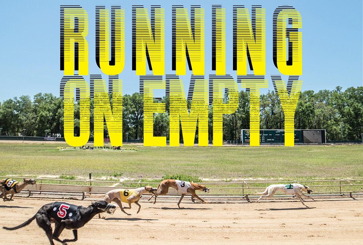 will greyhounds run away