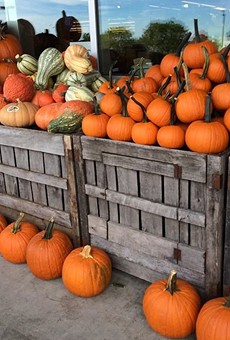 Pumpkin shortage in Illinois could surge prices in Florida