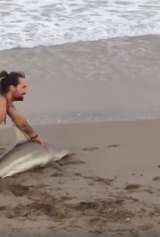 Watch this Florida manbun use a shark as a selfie prop